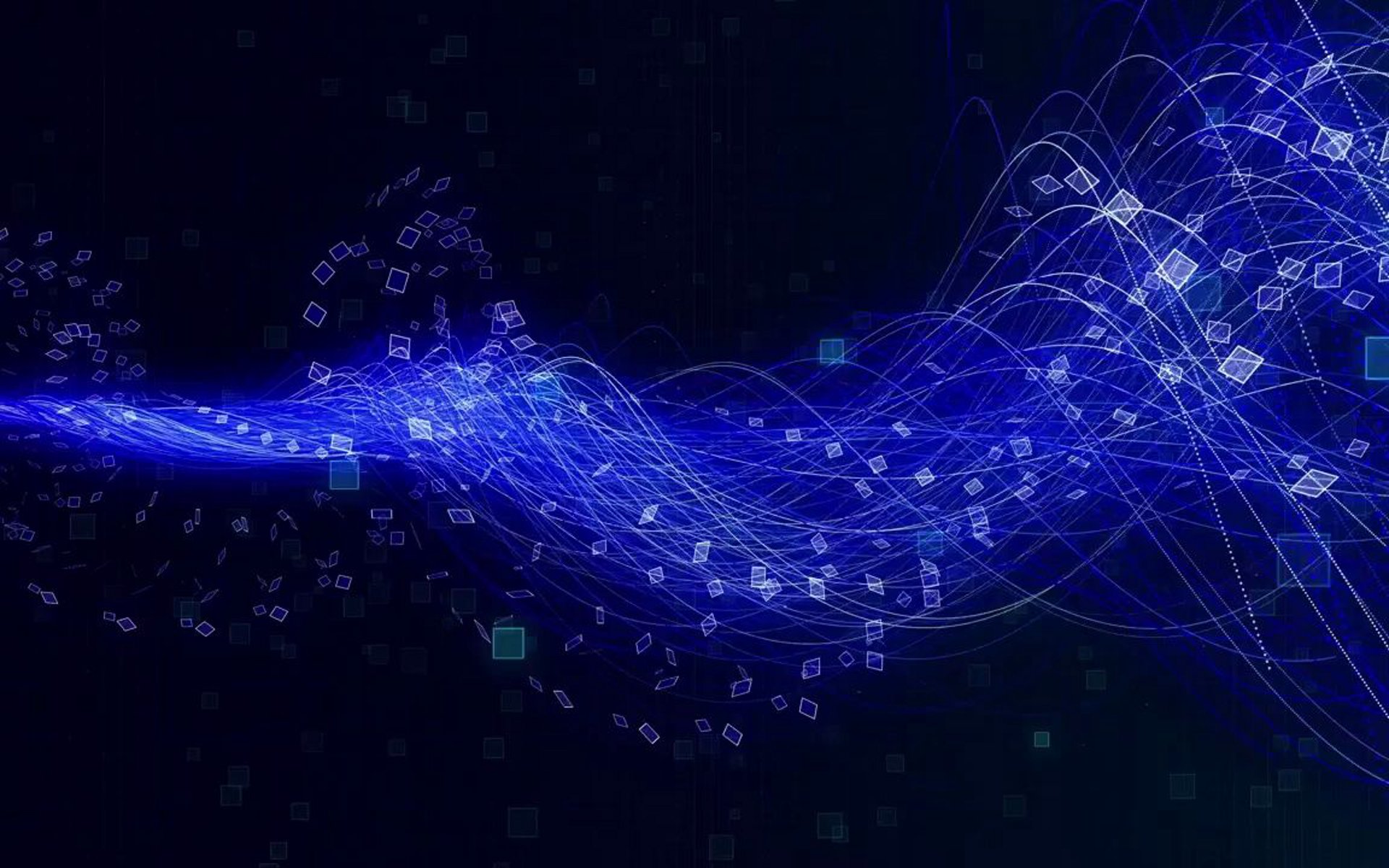 浪西数字网络